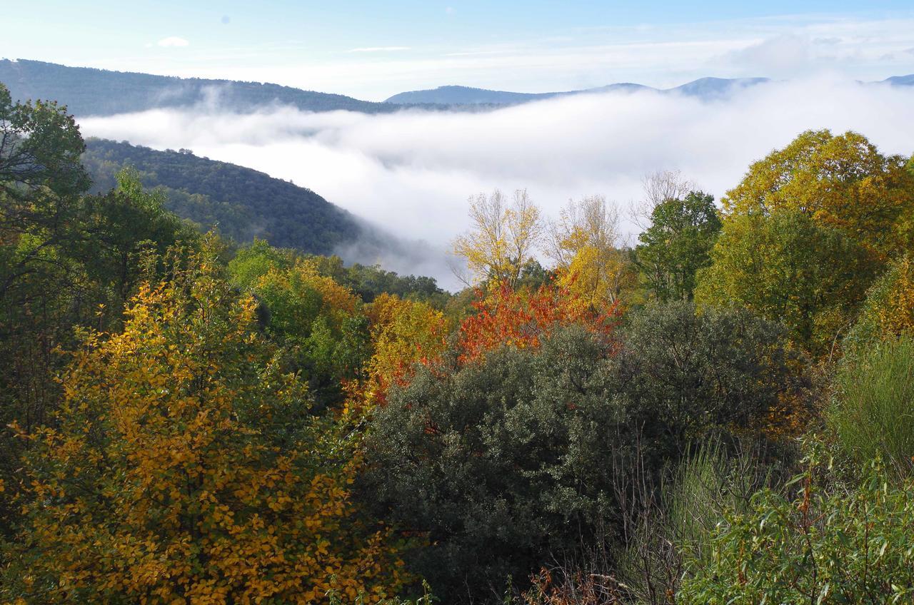 Apartamentos Sierra De Francia Monsagro Екстер'єр фото